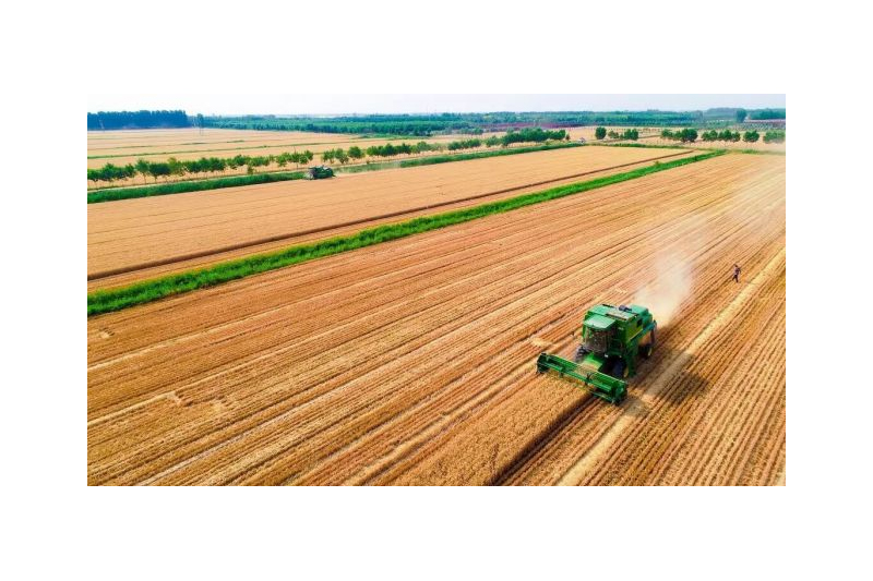 科技兴农赋能乡村振兴 ——吉林省农业科技创新纪实